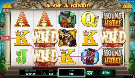 Hound Hotel Great Slots